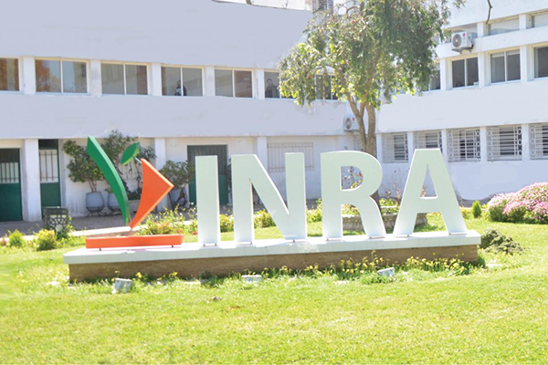 Institution: National Institute of Agricultural Research (INRA) - Rabat