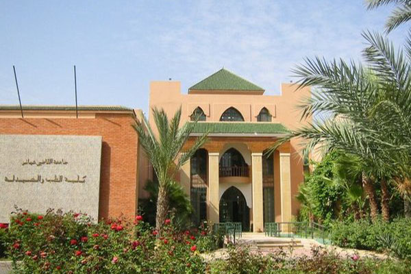 Faculty of Medicine and Pharmacy - Marrakech