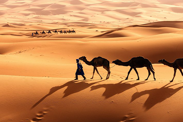 Caravane du desert